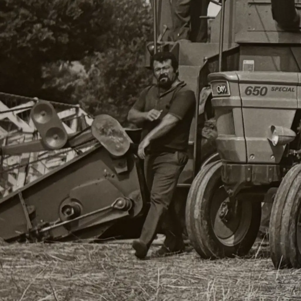 Mietitrebbia - Mechanical Precision since 1964